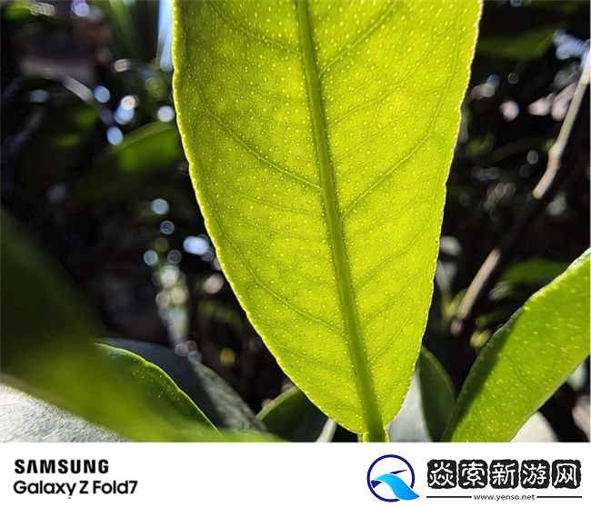 2亿像素超清影像领衔