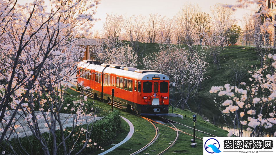 影视飓风Tim、天才少年加入讲师天团!第一堂HarmonyOS公开课等你来报名