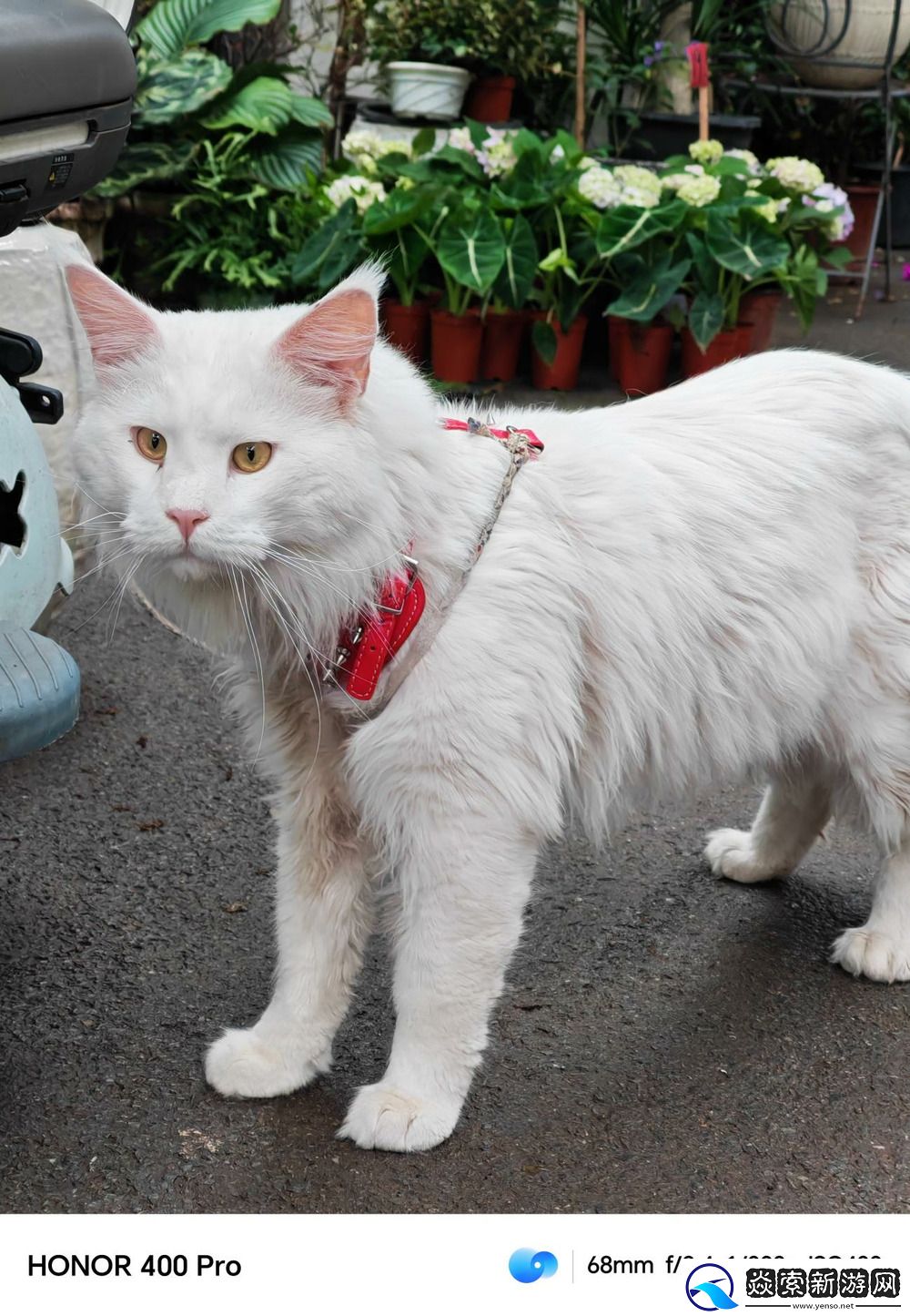 全新的外观ID+IP69级别防护