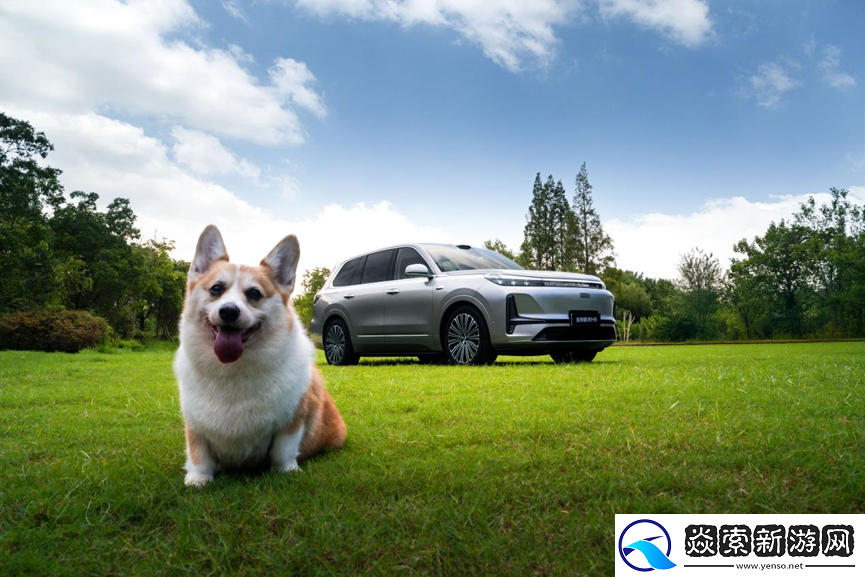 吉利银河M9预售价19.38万起