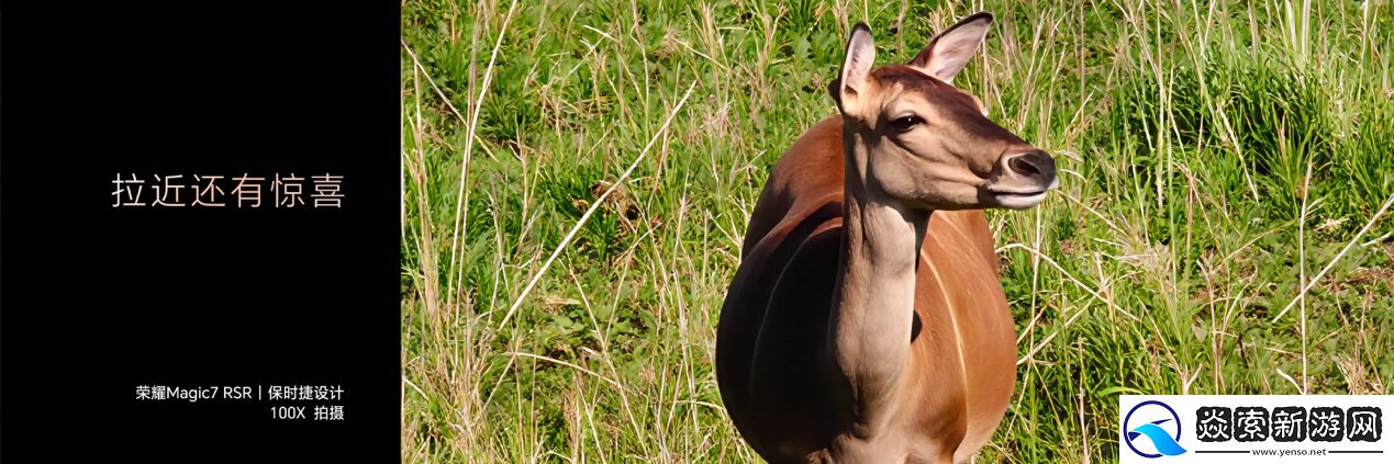 荣耀Magic7系列全面升级大王影像