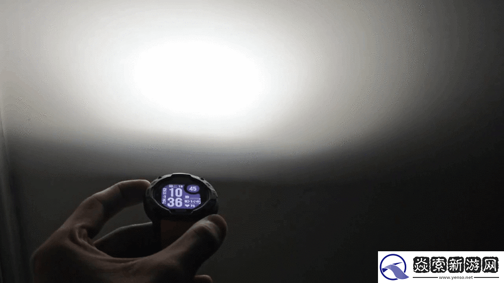 佳明本能Instinct