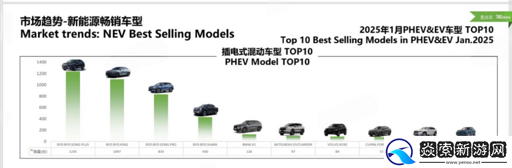 比亚迪在巴西、墨西哥等国荣膺纯电和插混销冠