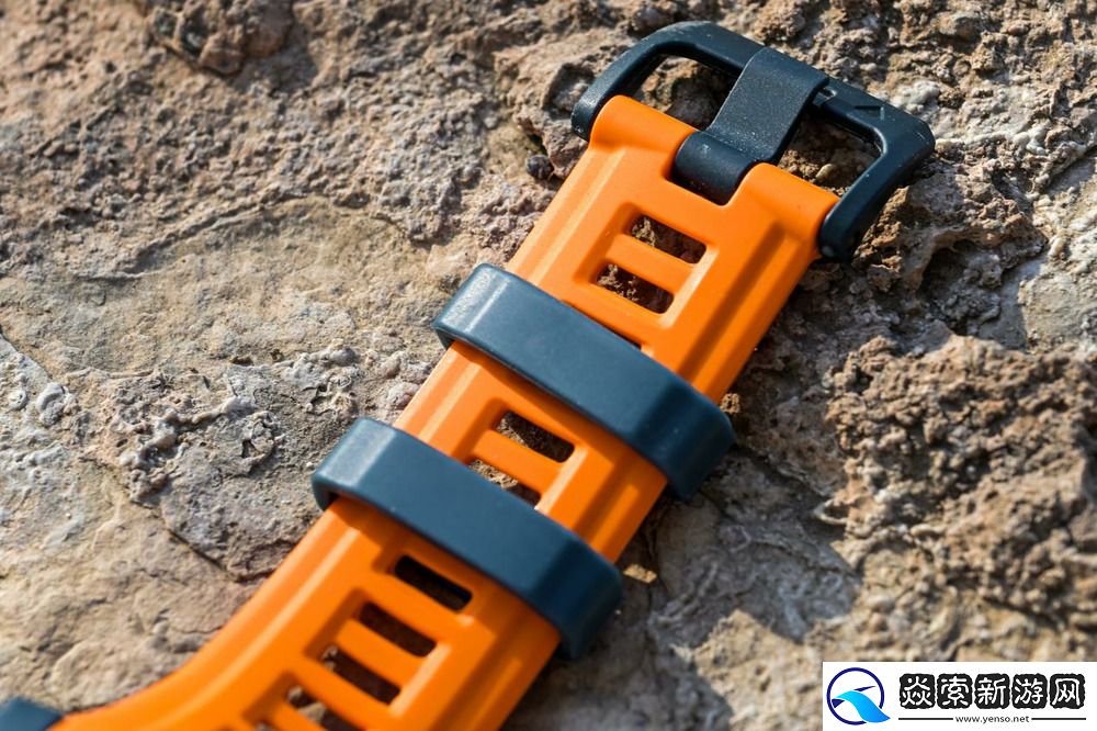 佳明本能Instinct