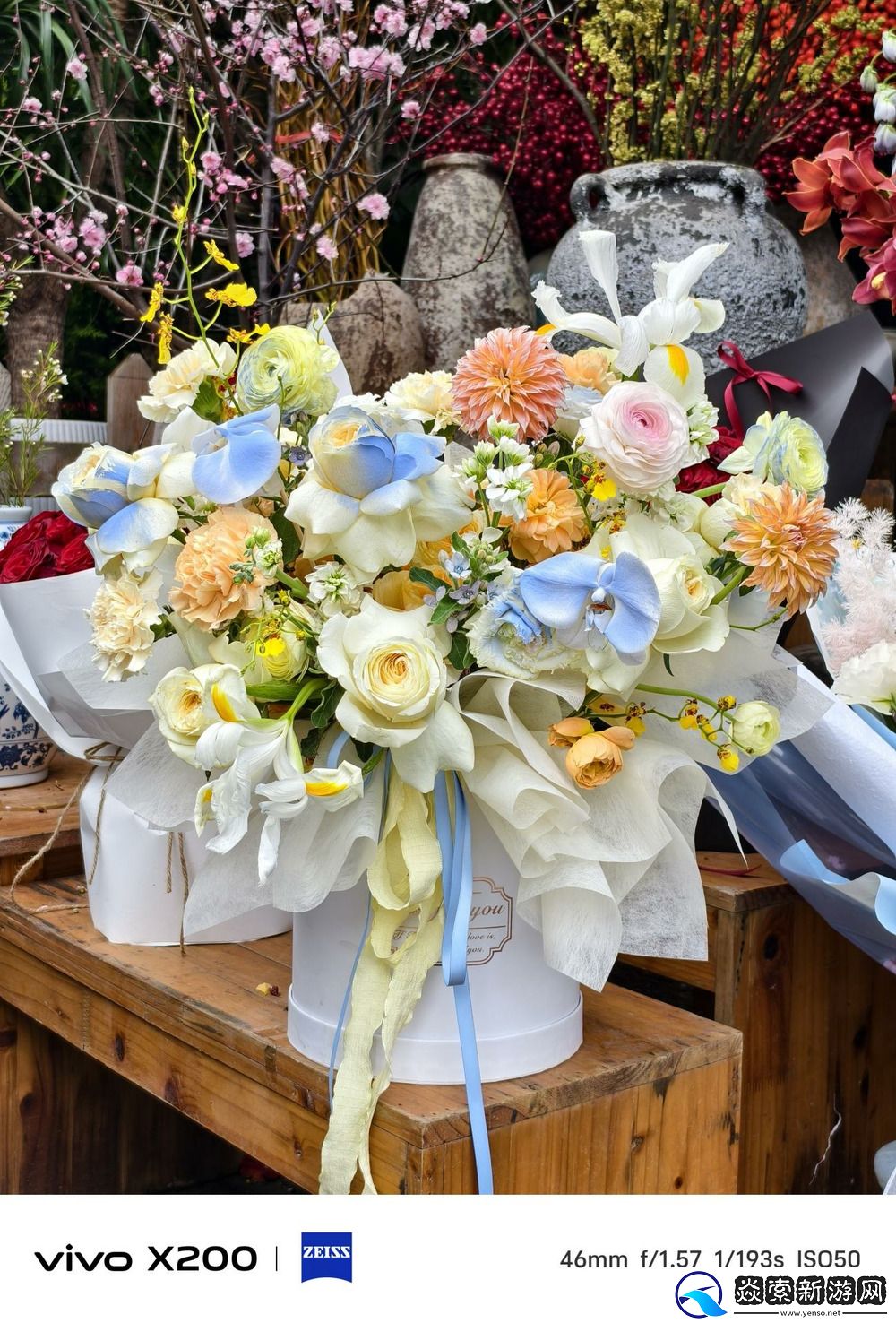 Pro级别的影像小灭霸