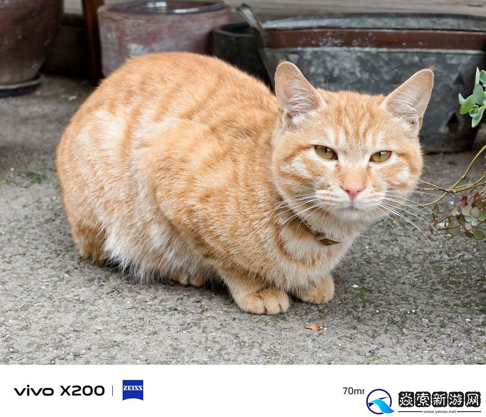 Pro级别的影像小灭霸