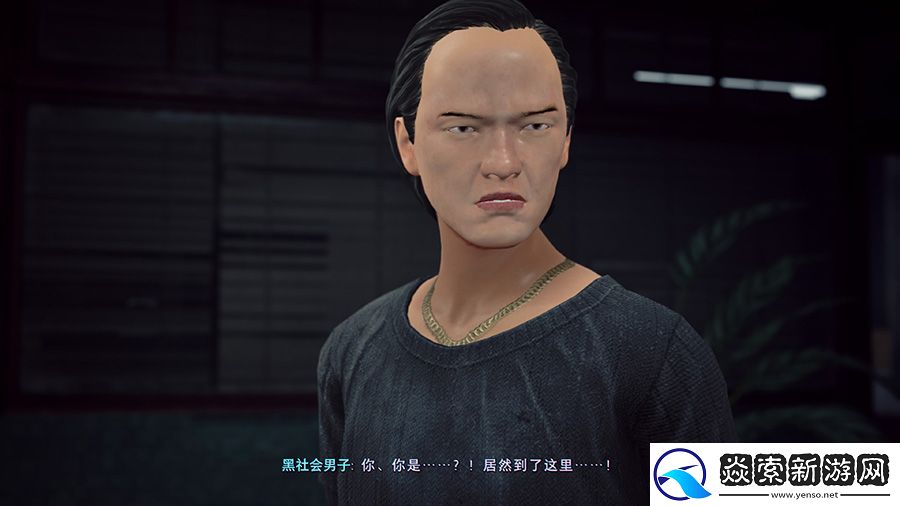 【7.0分】野狗子评测