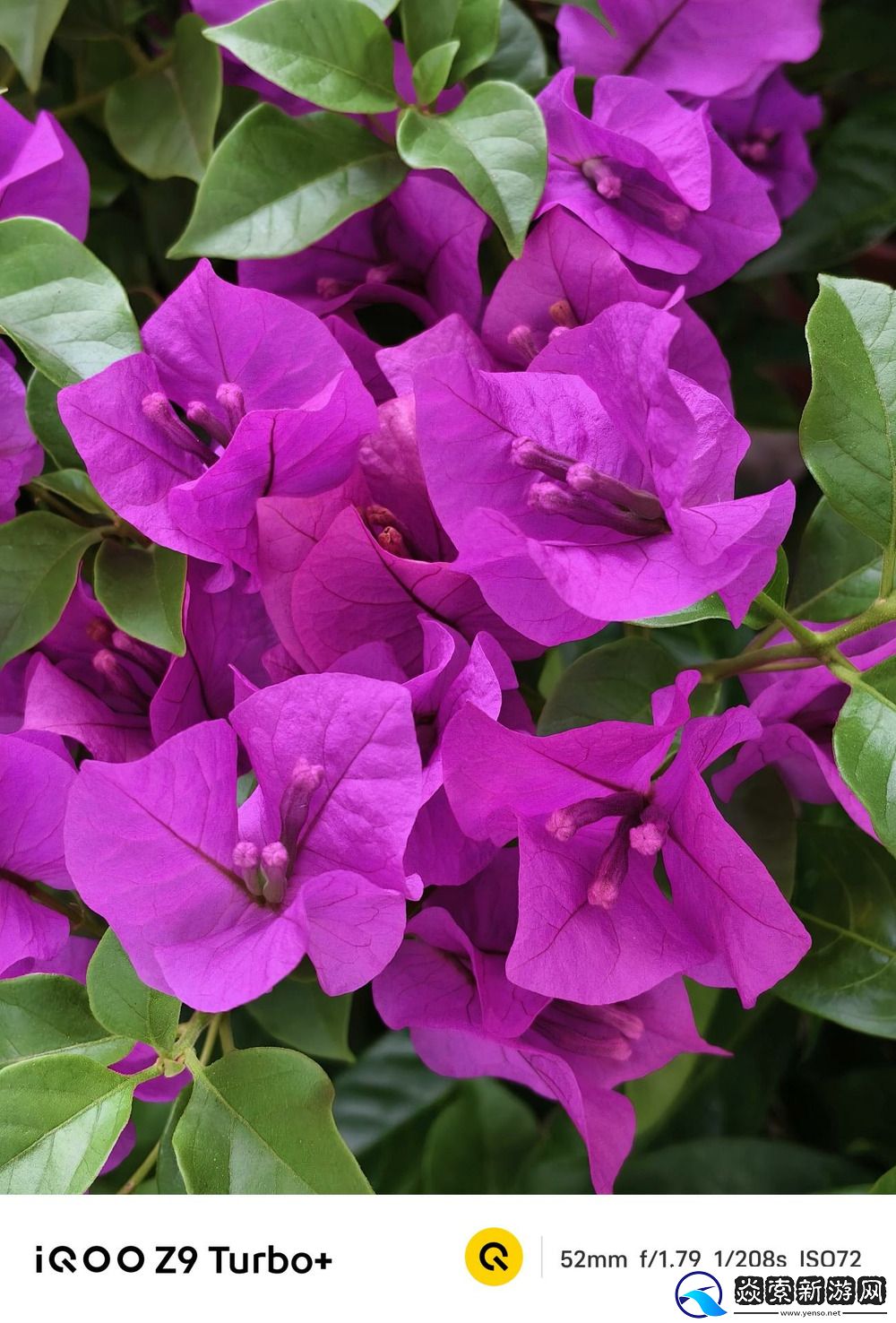 同价位唯一性能续航双管齐下