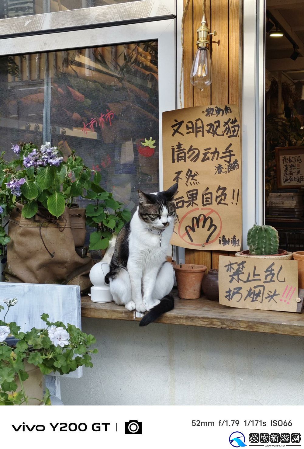 超薄直屏+超长续航