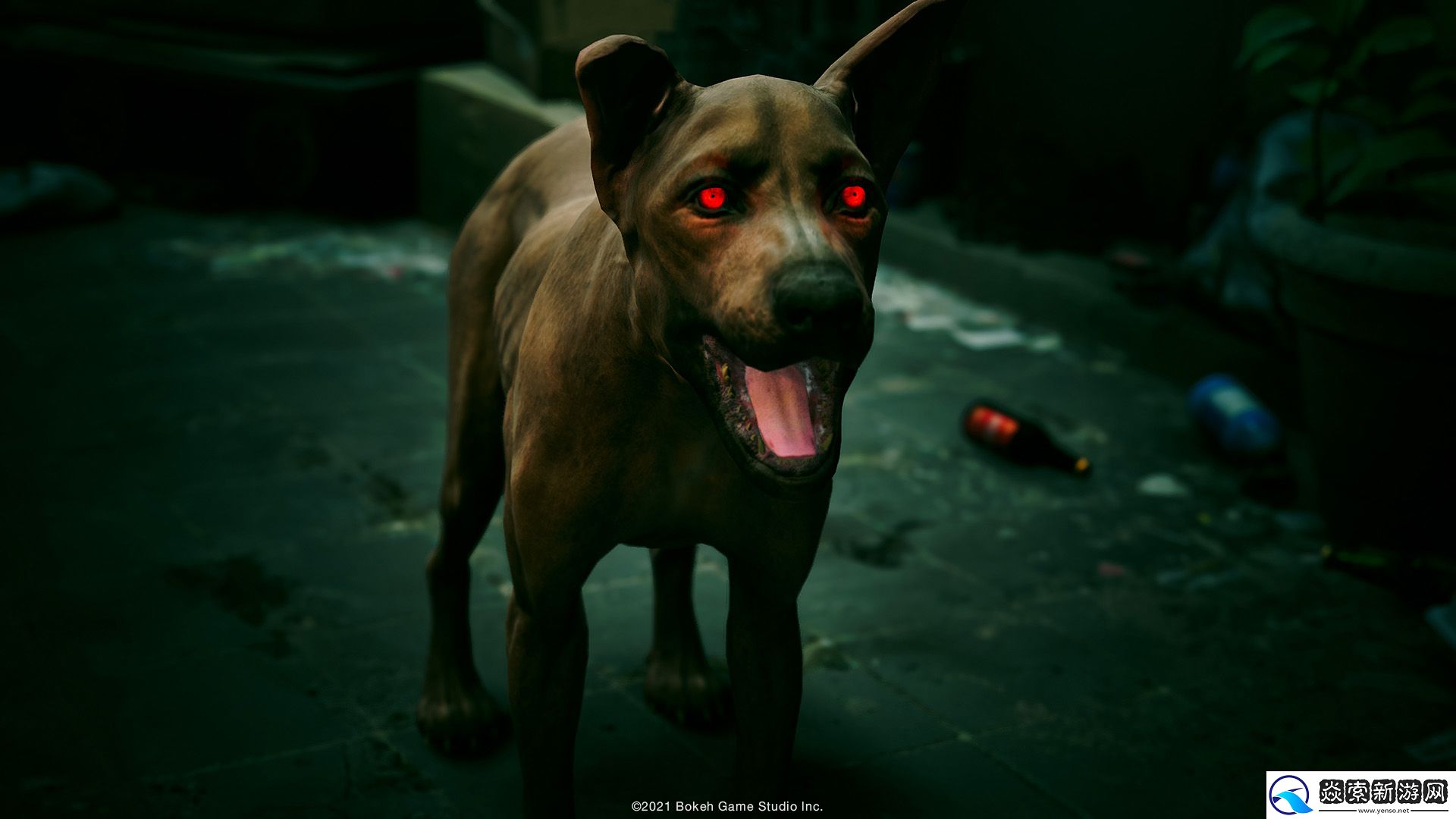 野狗子PS5亚洲中文版将于11月8日发售