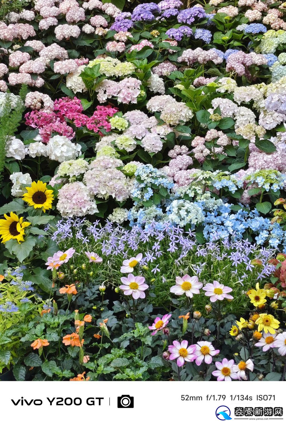 超薄直屏+超长续航