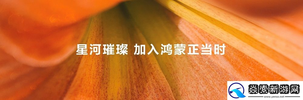 加入鸿蒙正当时