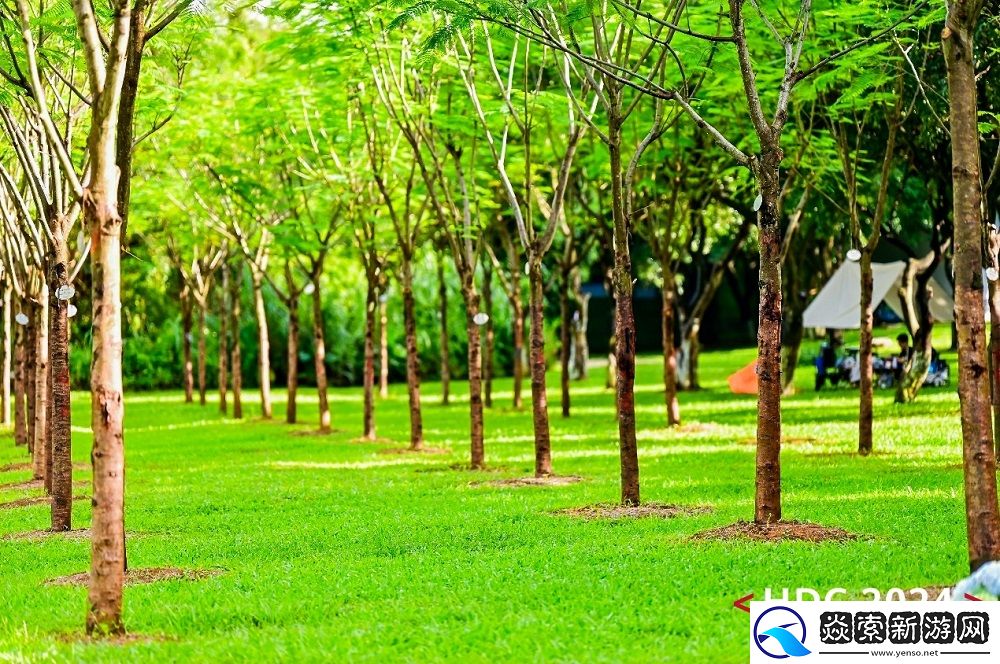 加入鸿蒙正当时