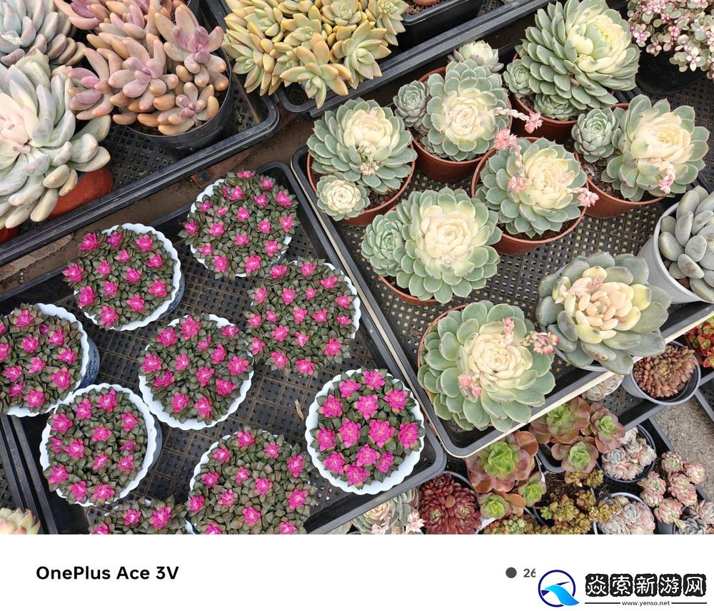 中端手机新标杆