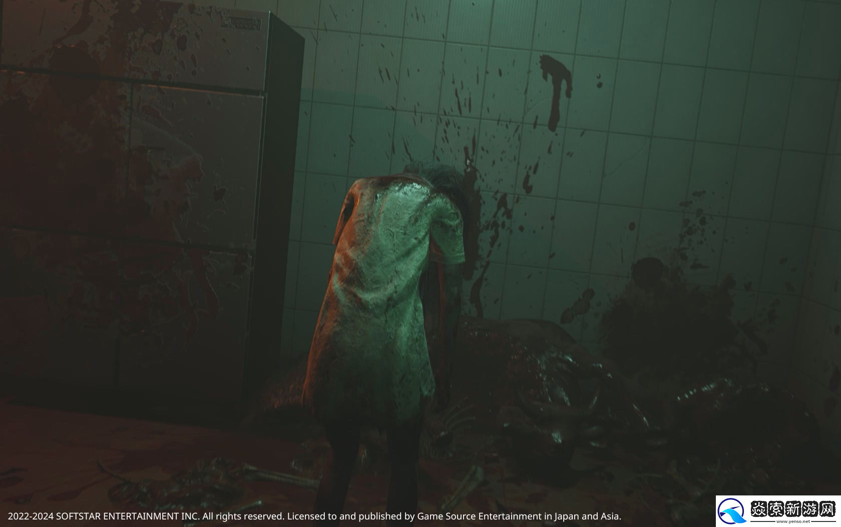 GSE公开2024年两款全球发行游戏