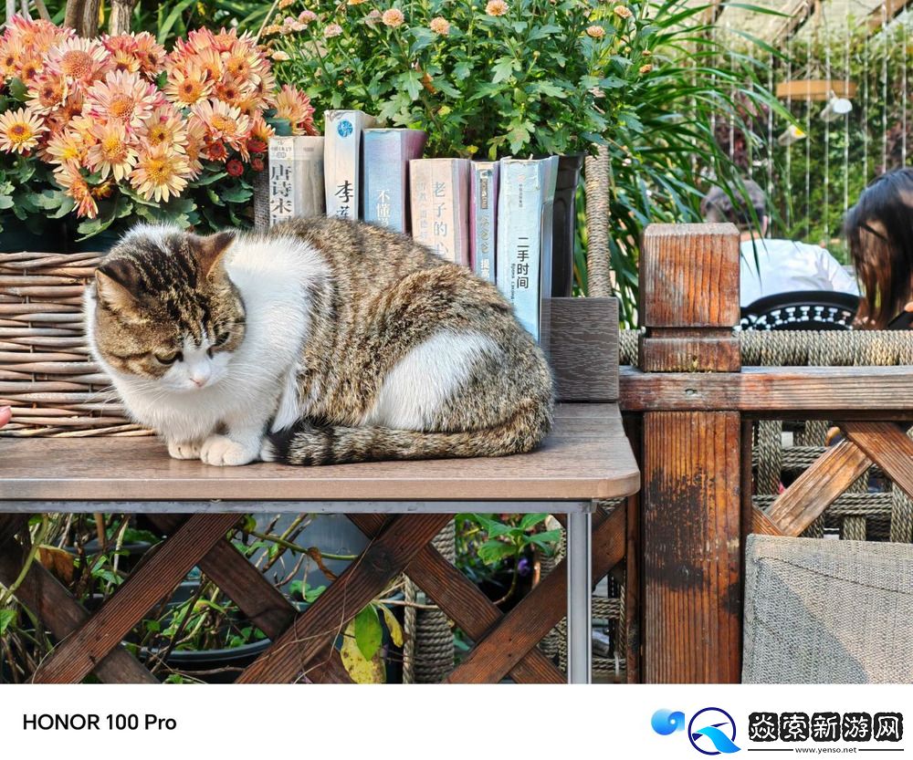 美学设计与”单反级“影像皆可兼得