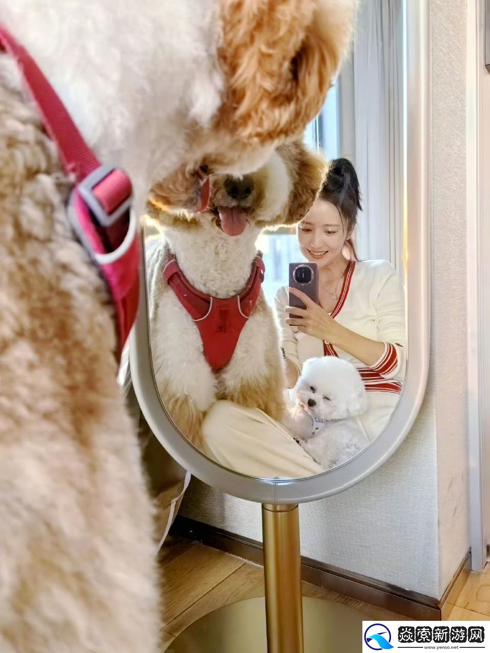 华为影业又上新片了！体验官谢霆锋万茜展示Mate