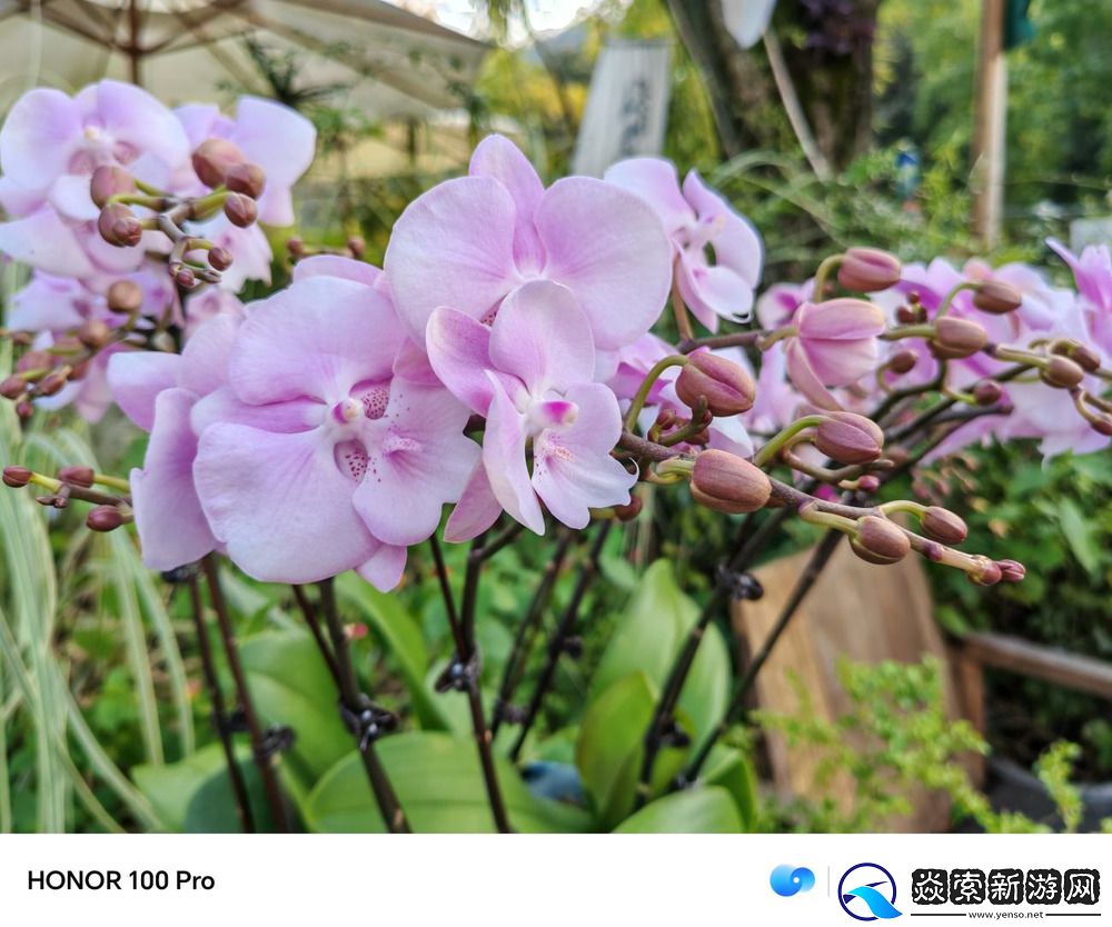 美学设计与”单反级“影像皆可兼得